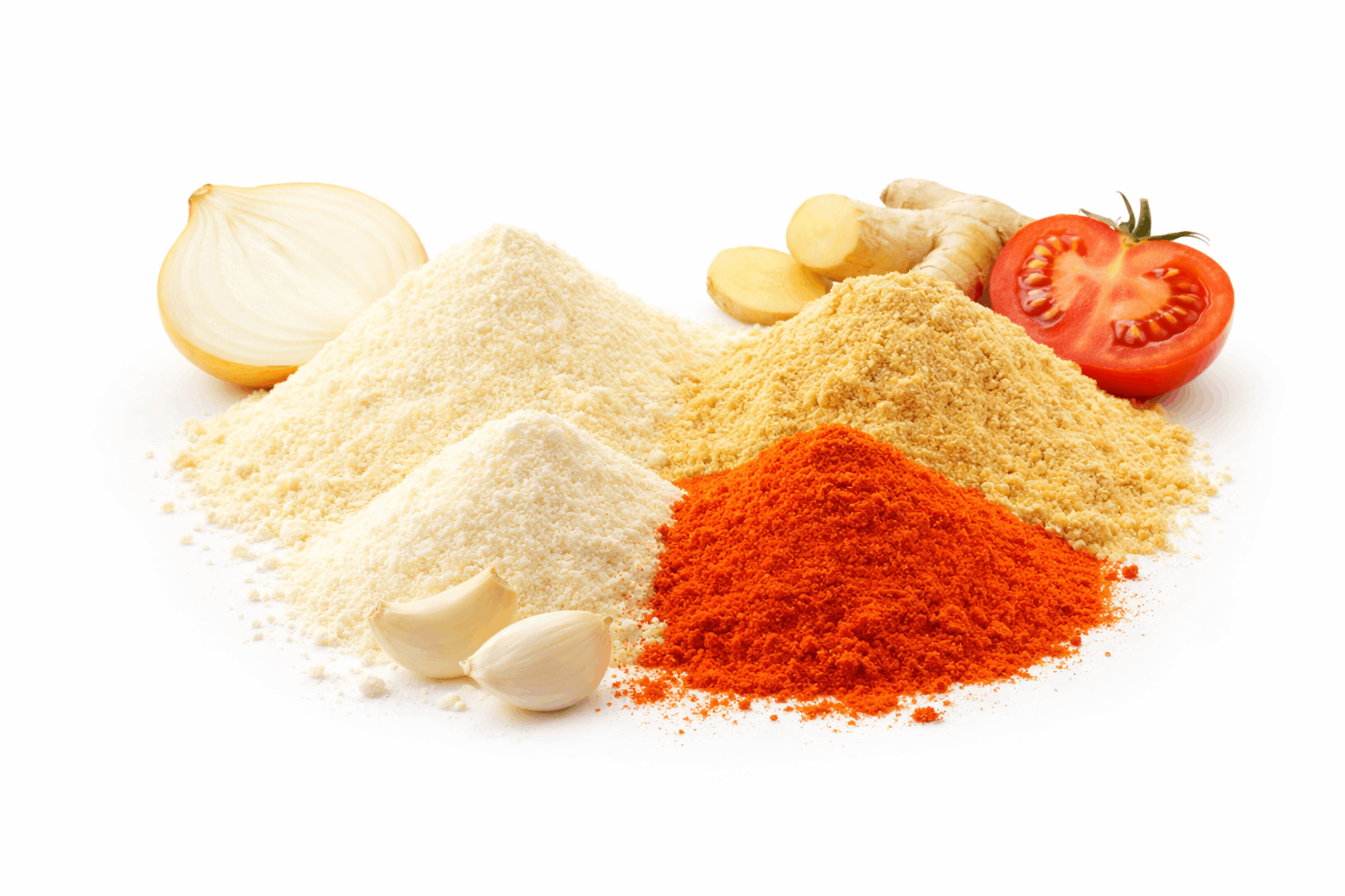 dehydrated garlic, ginger, onion and tomato powder exporter from India
